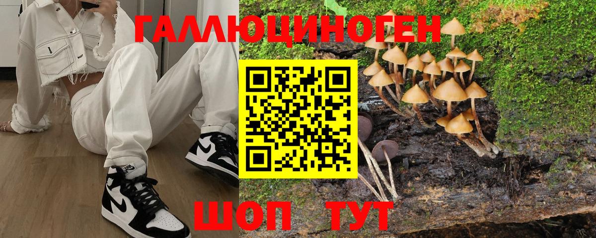 Приморско-Ахтарск  сколько стоит  Вход с VPN  Псилоцибиновые грибы GOLDEN TEACHER 