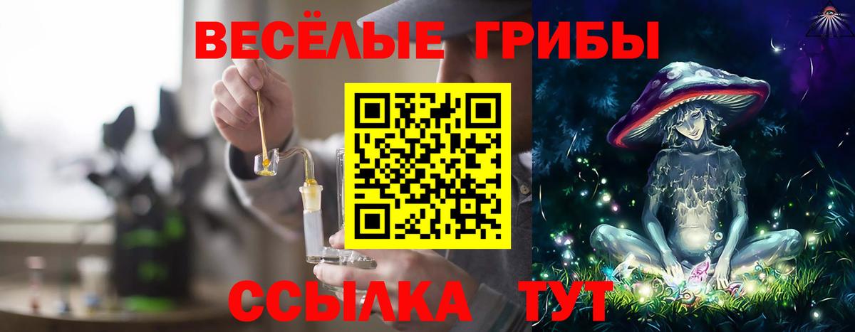Псилоцибиновые грибы мицелий Приморско-Ахтарск